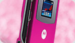 Boa Case in Pink