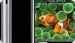 Naztech cases & chargers for iPhone